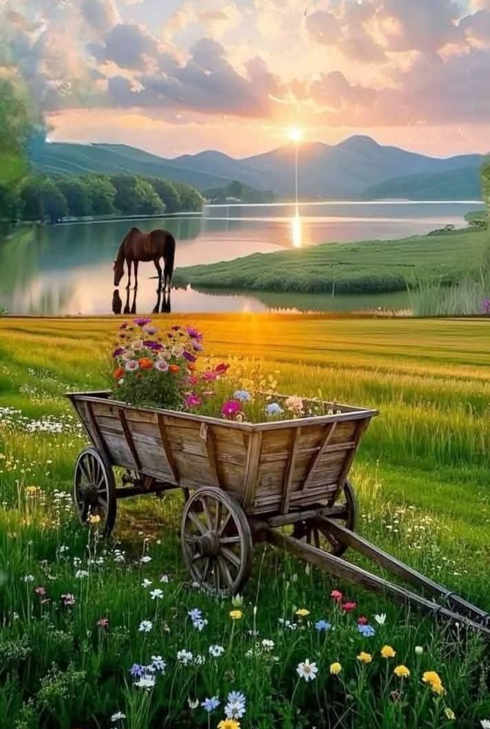 Good morning ☀️
Beautiful day &amp; Fantastic new week
❀✿❀ ⟫ ♡♡♡ ⟪ ❀✿❀