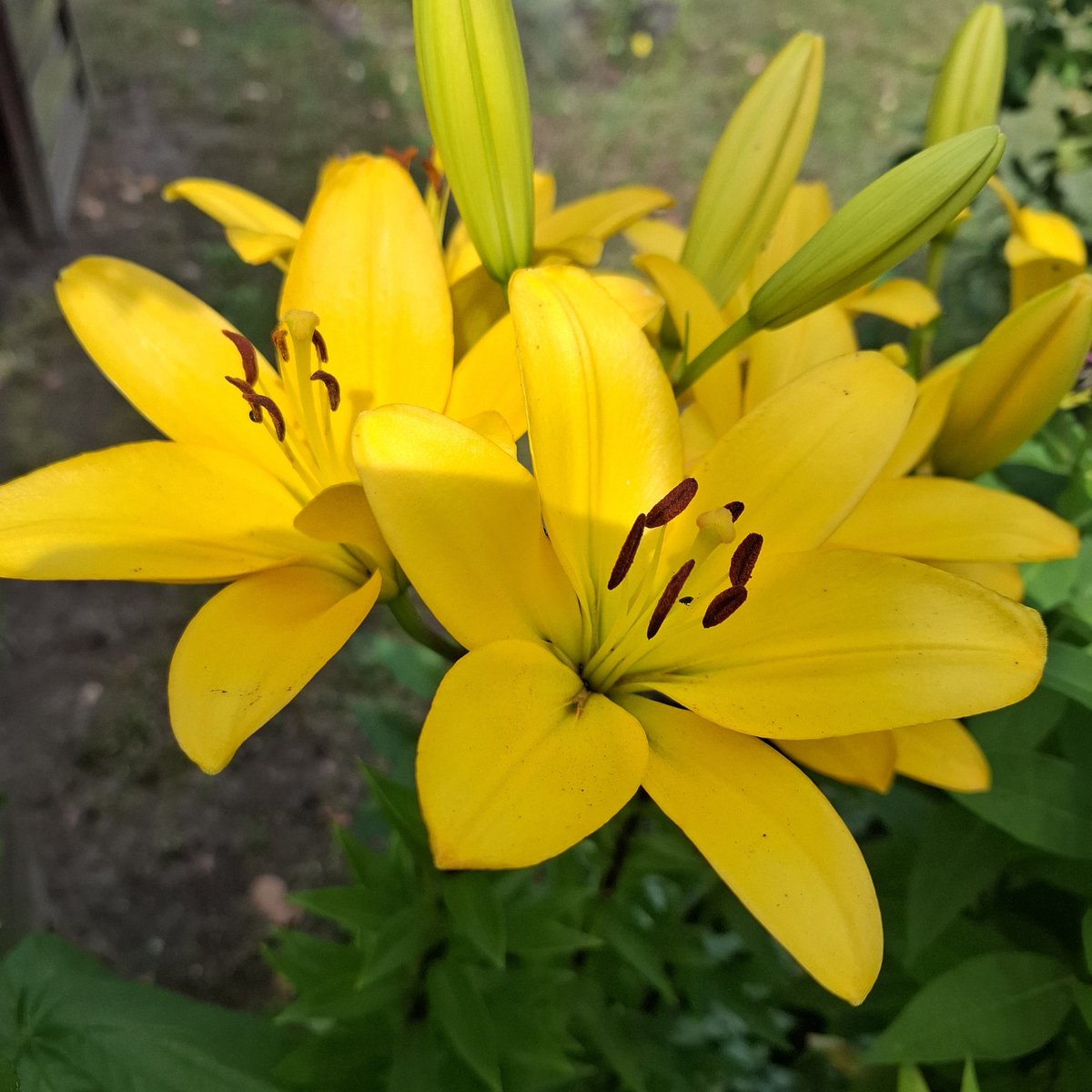 Dzień dobry przyjaciele ! Życzę wam dnia wypełnionego usmiechem i spokojem! Jeśli możecie to prześlijcie mi odrobinę sił i odrobinkę wiary, że ten cholerny niefart może w końcu da mi odetchnąć! Trzymajcie się dzielnie! Dużo radości na nowy tydzień dla was wszystkich!