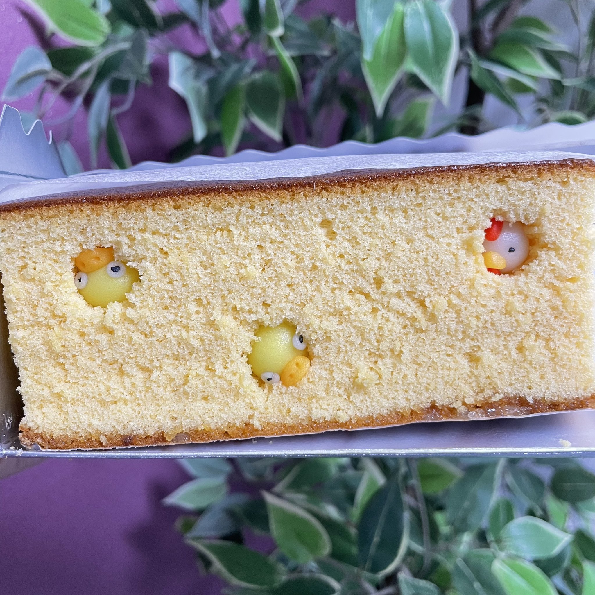 訳ありカステラ - Search / X