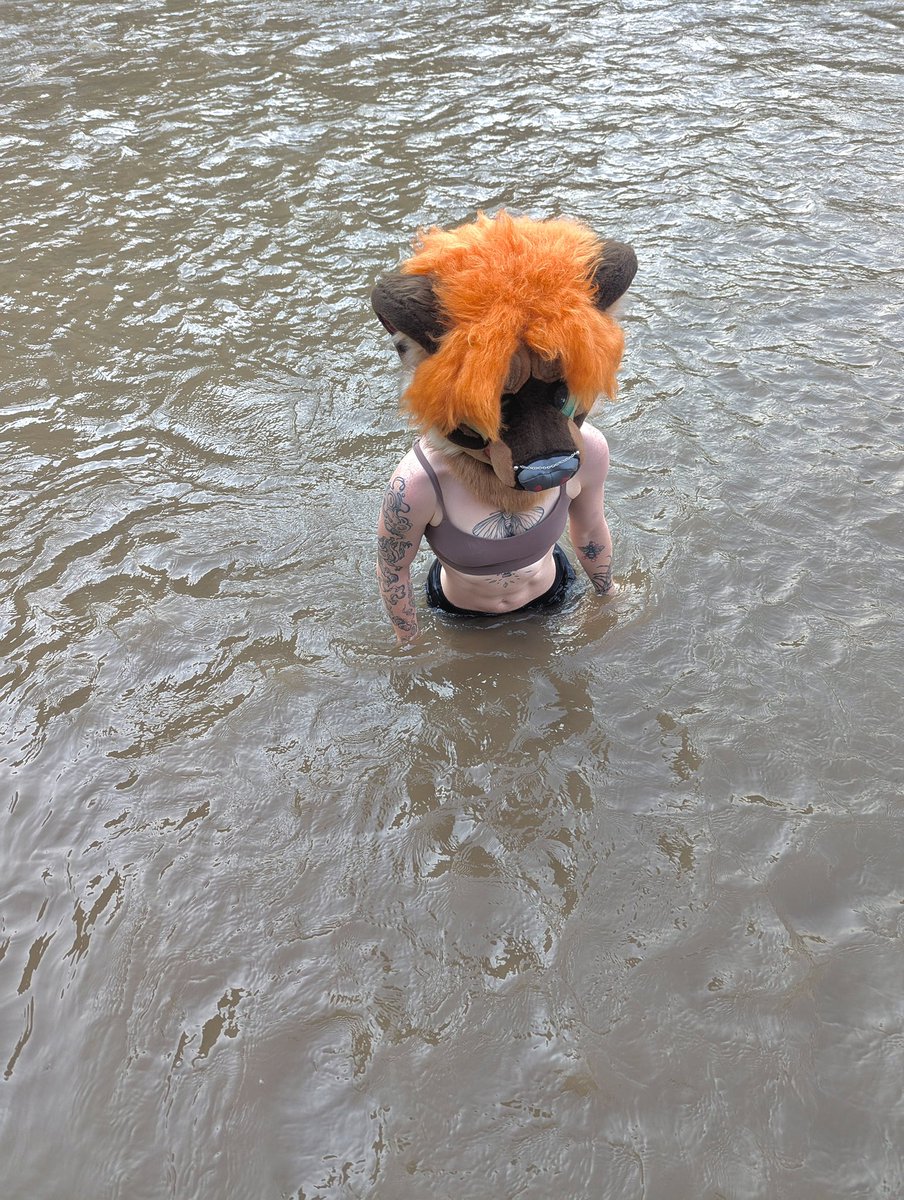 cryptic_lupine's tweet image. Damn this water brown as hell..
Thanks for hanging out with me on my birth of days 💚
📸:@Salsa_Anteater