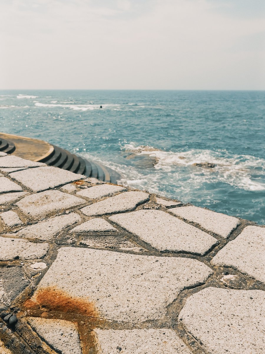 komo_c4's tweet image. 何気ない一日が、海に照らされてやさしく光っていた。