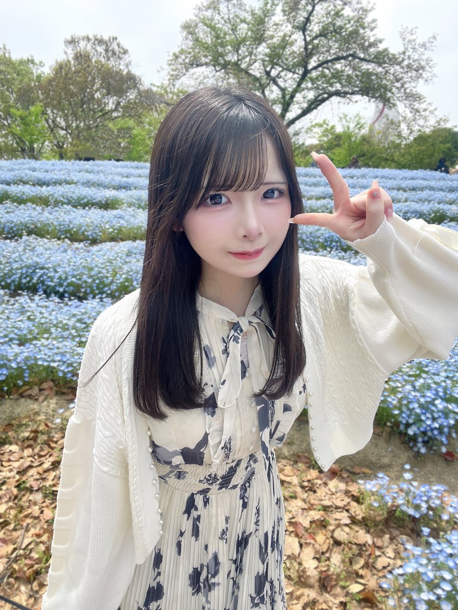 今回ご紹介するのは…

🩷🧡💛━━…‥・
きなこ さん(<a href="/_ki7wan_/">きなこ</a>)
　　　・‥…━━💛🧡🩷

☕勤務店☕
Princess♡Princess(<a href="/princess_osaka9/">cafe&bar Princess♡Princess【大阪コンカフェ】</a>)
大阪市中央区千日前2-6-8 千日前ゴールデンフタバプラザ3F