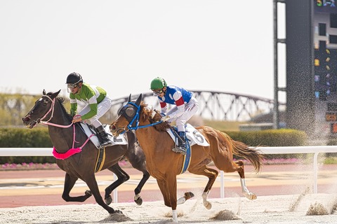 お馬さんが好きで過去に
色々な所に写真撮りに行ったけど
馬券は1,000円で1回しか
買った事のない競馬初心者
ウマ娘で競馬の歴史勉強中です 