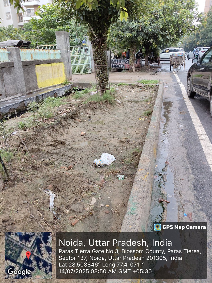 <a href="/noida_authority/">NOIDA Authority</a> <a href="/CeoNoida/">CEO, NOIDA Authority</a> 
Sector 137 has become a trash can with littering, negligence in cleanliness, invitation to diseases. 
Please get this cleaned up. 

Location: Sector 137, Supertech Ecociti (back gate)