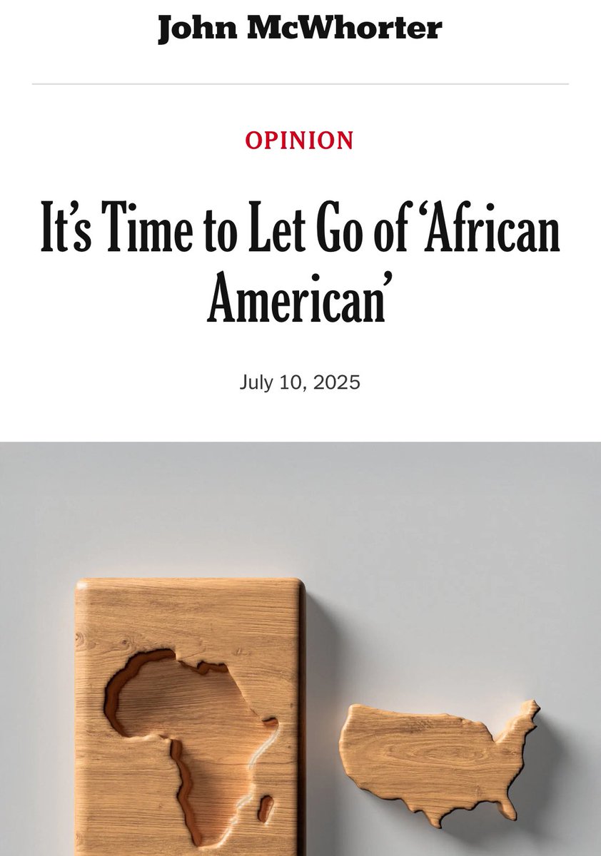 “Let Mamdani and other people — of all shades — born in Africa or about a generation past it call themselves African Americans. But here, over centuries, descendants of African slaves have become something else — and proudly, I hope.”

Sounds eerily familiar 😏, but he misses the