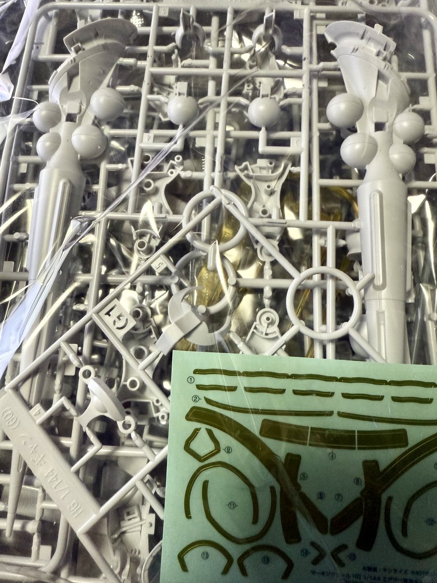 しらたま0105 (@2810RE3D) / X