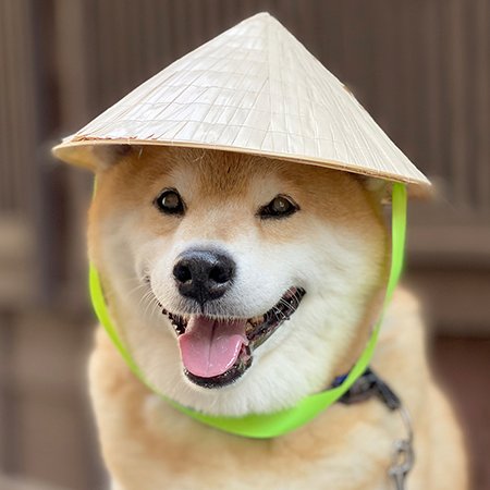 📈 Bitcoin just hit a new ATH… and memes are next. We’re backed by a decade of smiles 🐶✨
 $MARU isn’t just a coin, it’s culture, legacy, and timing.
Marutaro led the internet 😍
Now he’s ready to lead the chain 🚀🚀

TG: t.me/marutarocoinCTO

#BTCATH #MARU #BullRunSeason