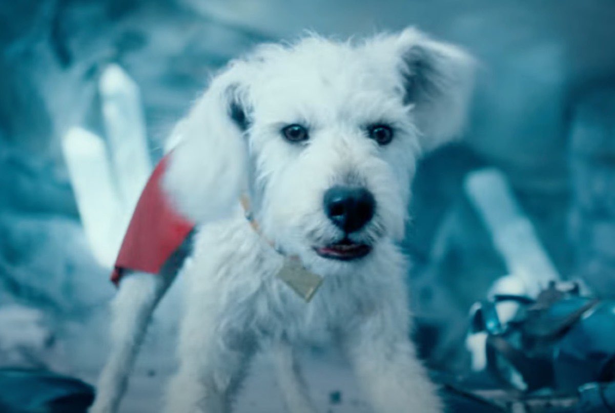 I loved superman but this guy stole the show #krypto