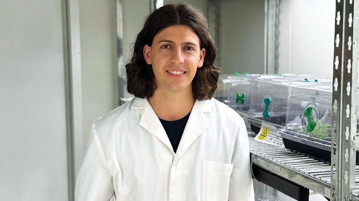 theGRDC's tweet image. 🧬 From antibiotics to agriculture: @UniofAdelaide's Ryan McClean is helping turn a strange biological quirk into a new #herbicide pipeline. 

What began as a search for antibiotic targets is now shaping how some researchers address #weeds.

Read more: bit.ly/44MwfcA