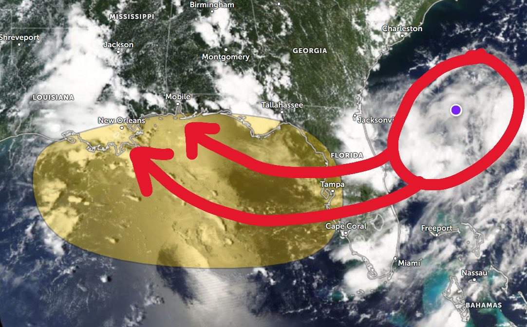 weatherbryan's tweet image. 🌀TROPICAL TROUBLE BREWING🌀
BOTTOM LINE: A trough will bring scattered tropical downpours & localized flooding to Florida late Monday into Tuesday, then potentially organize into a tropical storm over the NE Gulf. Models favor a track toward Louisiana.
🌀 FLORIDA IMPACTS (MON…