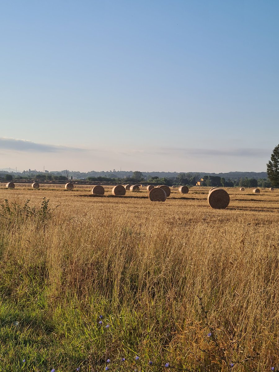 Non credere a quello che ti dicono...
È tutto un campo di balle!!!😜

Buongiorno anime irriverenti, buon inizio settimana, felice lunedì ☕️😘
#ironizzare