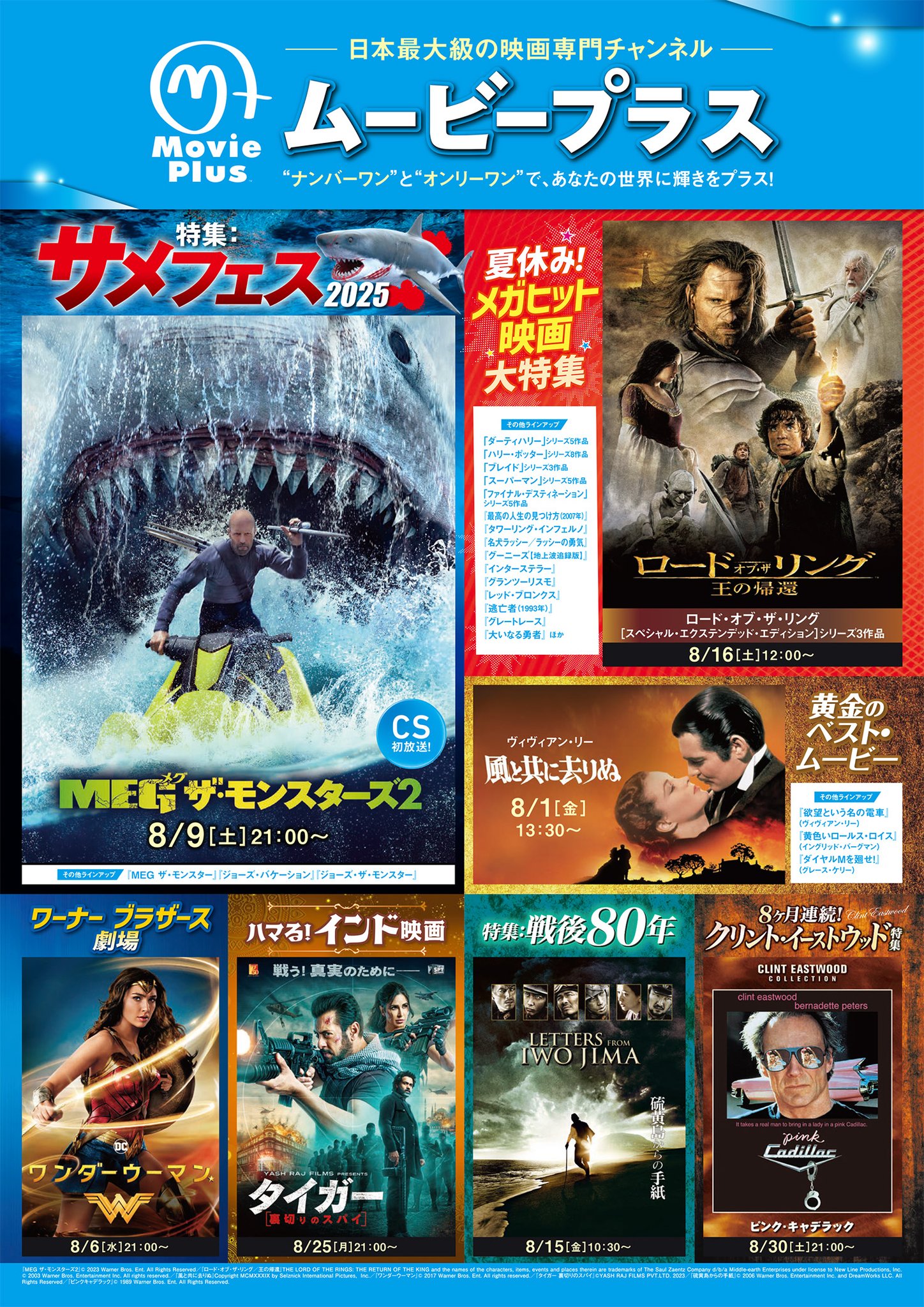 映画『ウイズダム 夢のかけら』ポスター ＜劇場公開 販促宣伝告知用 非売品＞ tc.jpg