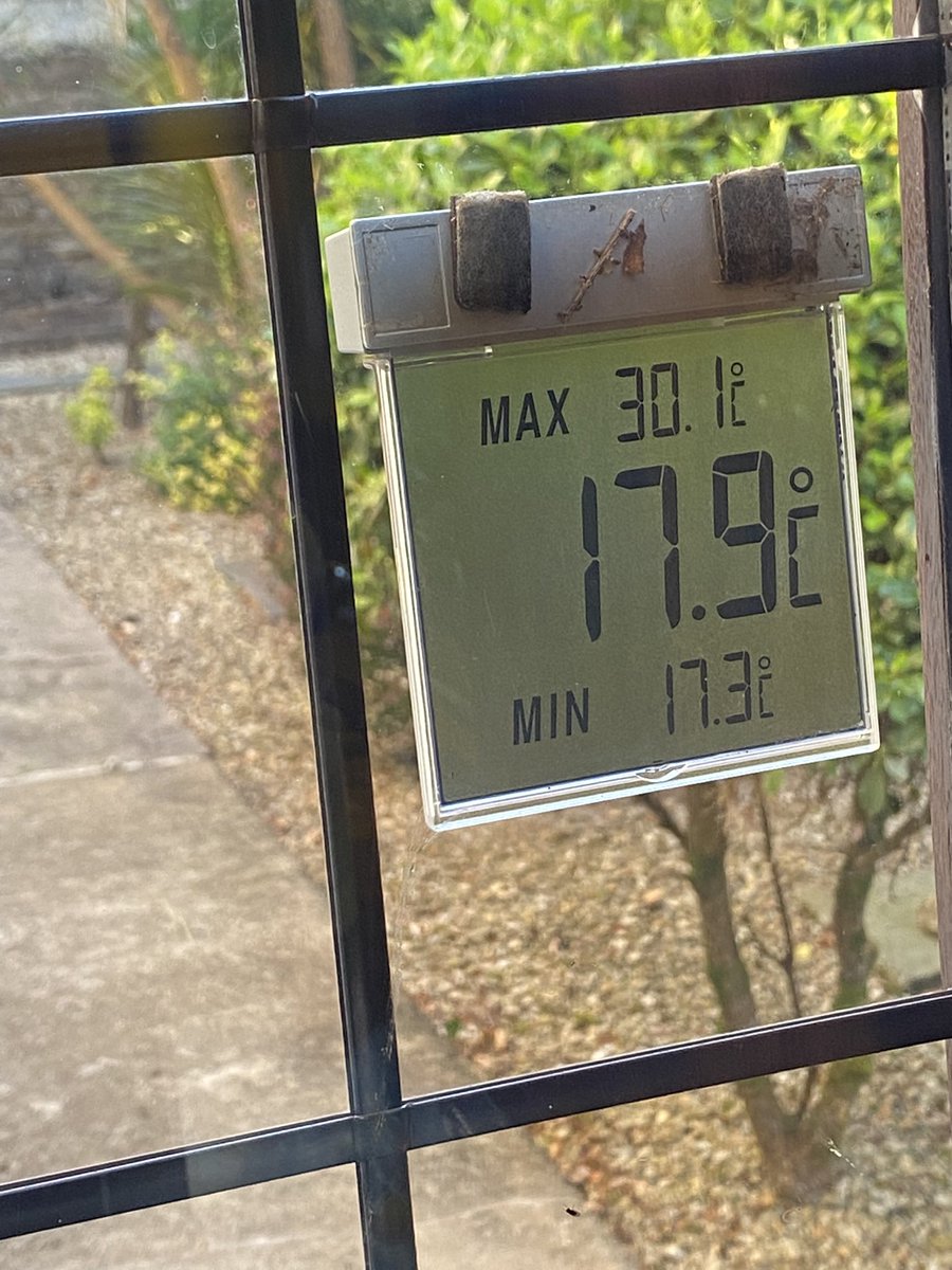 Our hottest day of the year so far was Saturday. Not a cloud in the sky. Sat out till after dark in beach clothes. Just glorious. 🥰