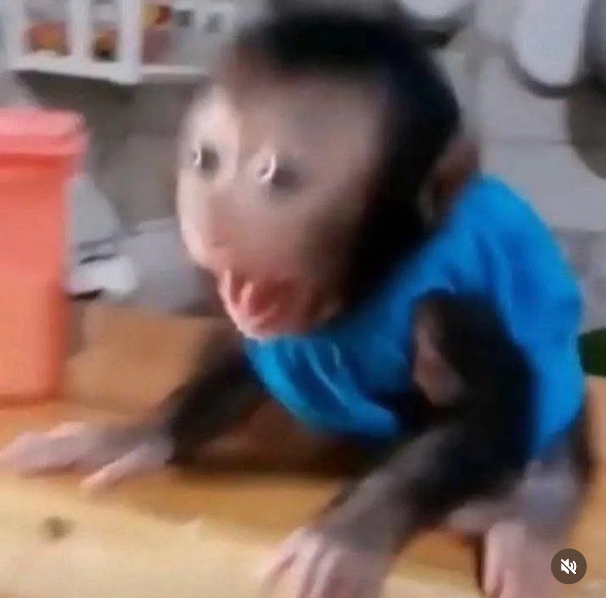 ALL TIME HIGHS ON ALL TIME HIGHS CHAT