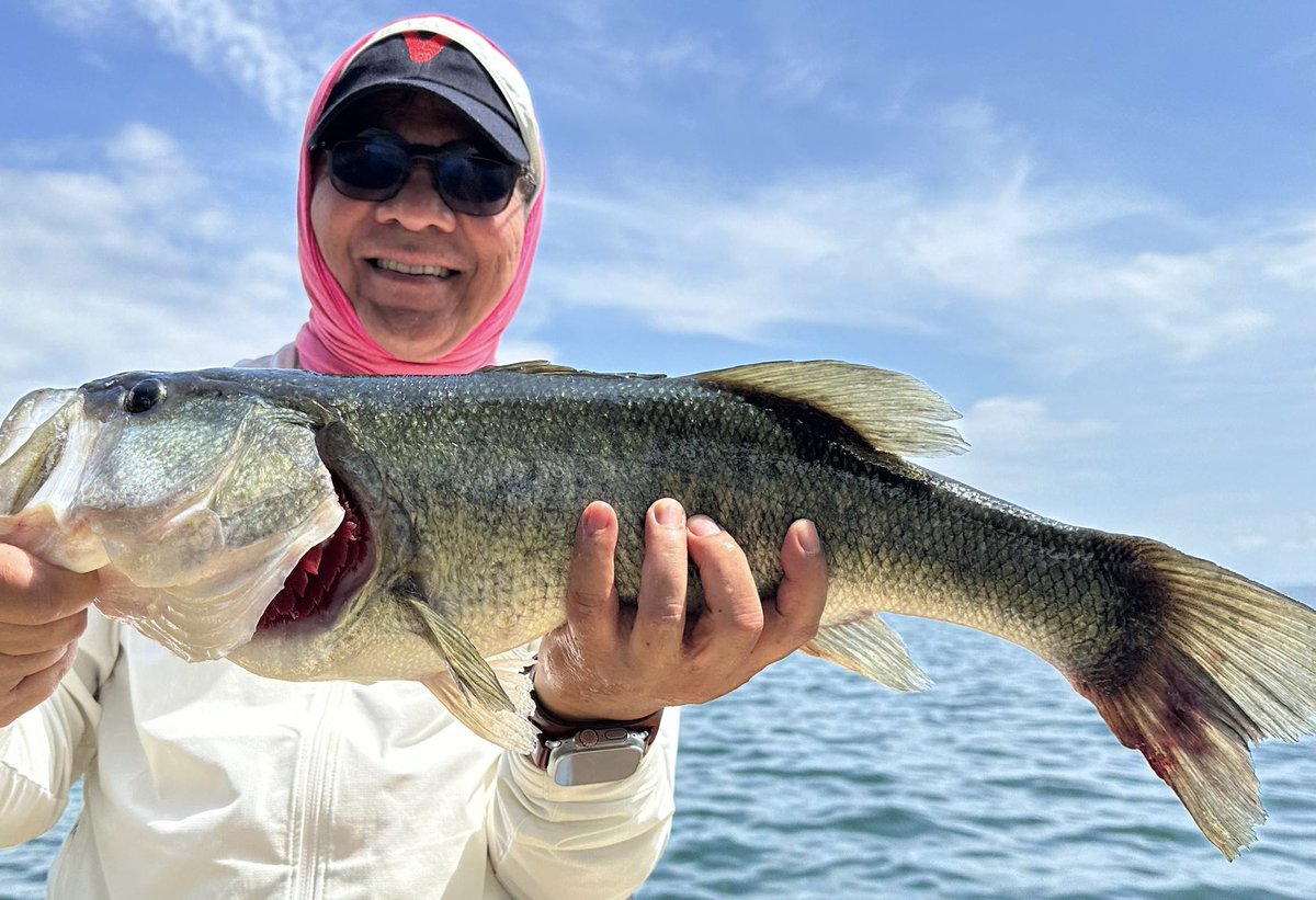 I caught this large mouth bass at Lake Biwa in Kyoto. Despite the scorching heat of summer, we persisted. My brother, Rubin, from Perth also landed a sizeable one too.