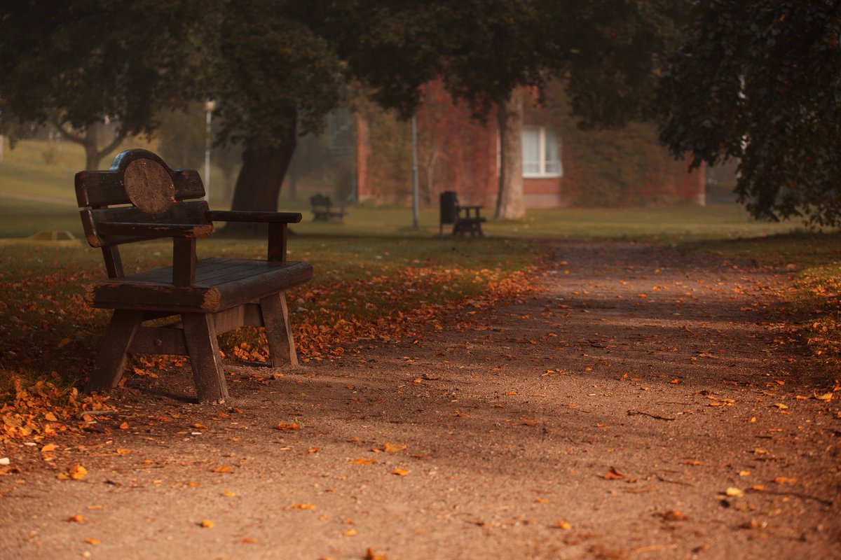 Share your photos of parks! 🌳