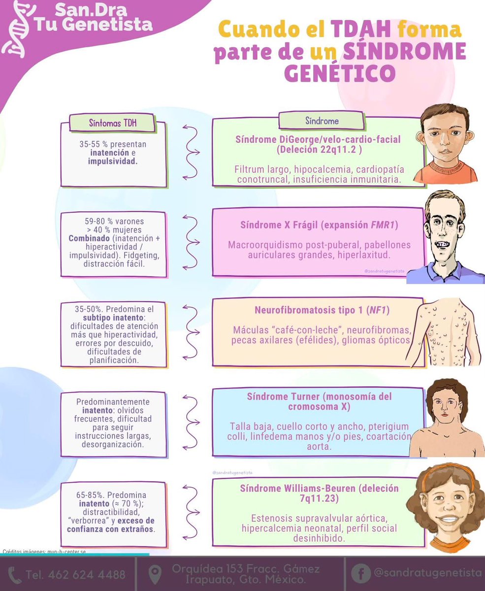 oms_dra's tweet photo. ☝️Pero a veces, hay más que atención divergente…
En ciertos casos, el TDAH no viene solo.
💬 ¿ Y si el diagnóstico de TDAH no explica todo lo que esta pasando?
👩‍⚕️ Y si sospechas algo más, consulta a una médica o médico genetista. 

 #AtenciónDivergente #TDAH #Neurodiversidad https://t.co/pKVDZPkGJH