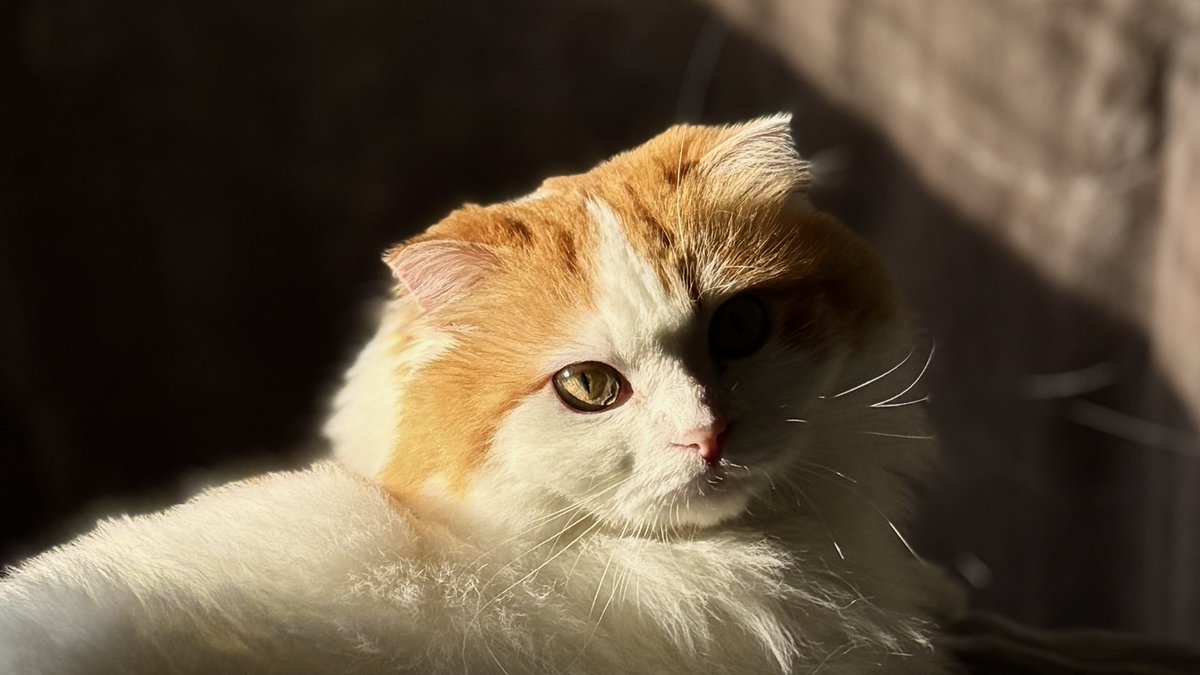 𝐬𝐥𝐢𝐜𝐞𝐬 𝐨𝐟 𝐥𝐢𝐟𝐞