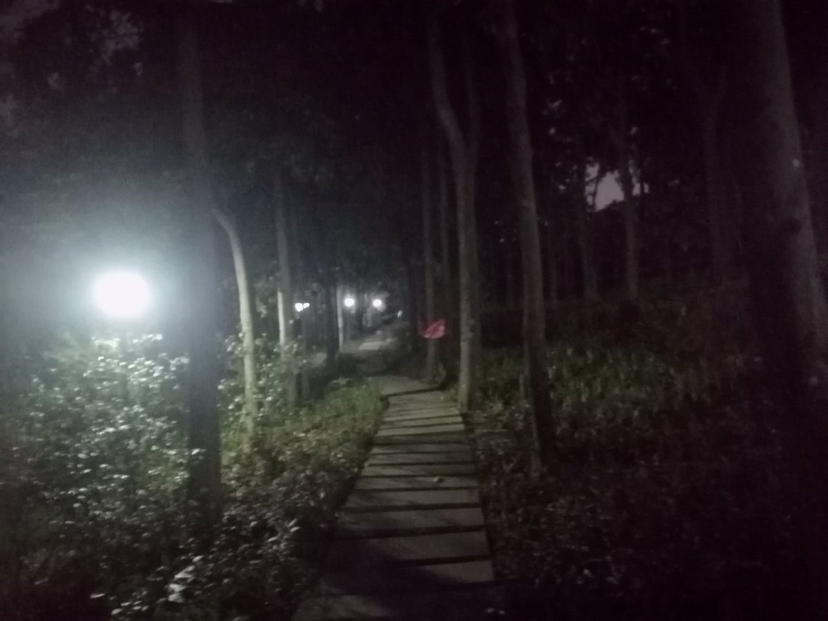 周末去深圳布吉过南湾，#鸟洞 尚在，附近公寓在建健身房据说有G活动，实测空无一人，环境倒真不错，估计是引流。昨去大浪，洞贴胶布，更隐蔽。又去附近小公园，忒偏僻，只有一两个散步大叔。往山坡树林走还遇腐烂猫尸，怕有蛇就撤了。出来遇一小哥说十点后才上人……算了，太阴森不去也罢。#gloryhole