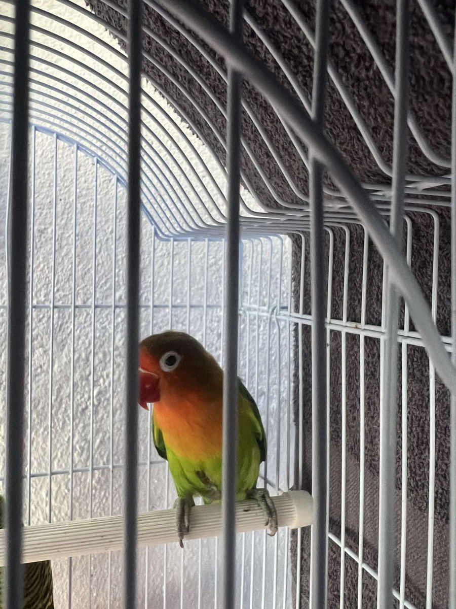 MV Lost & Found tweet media