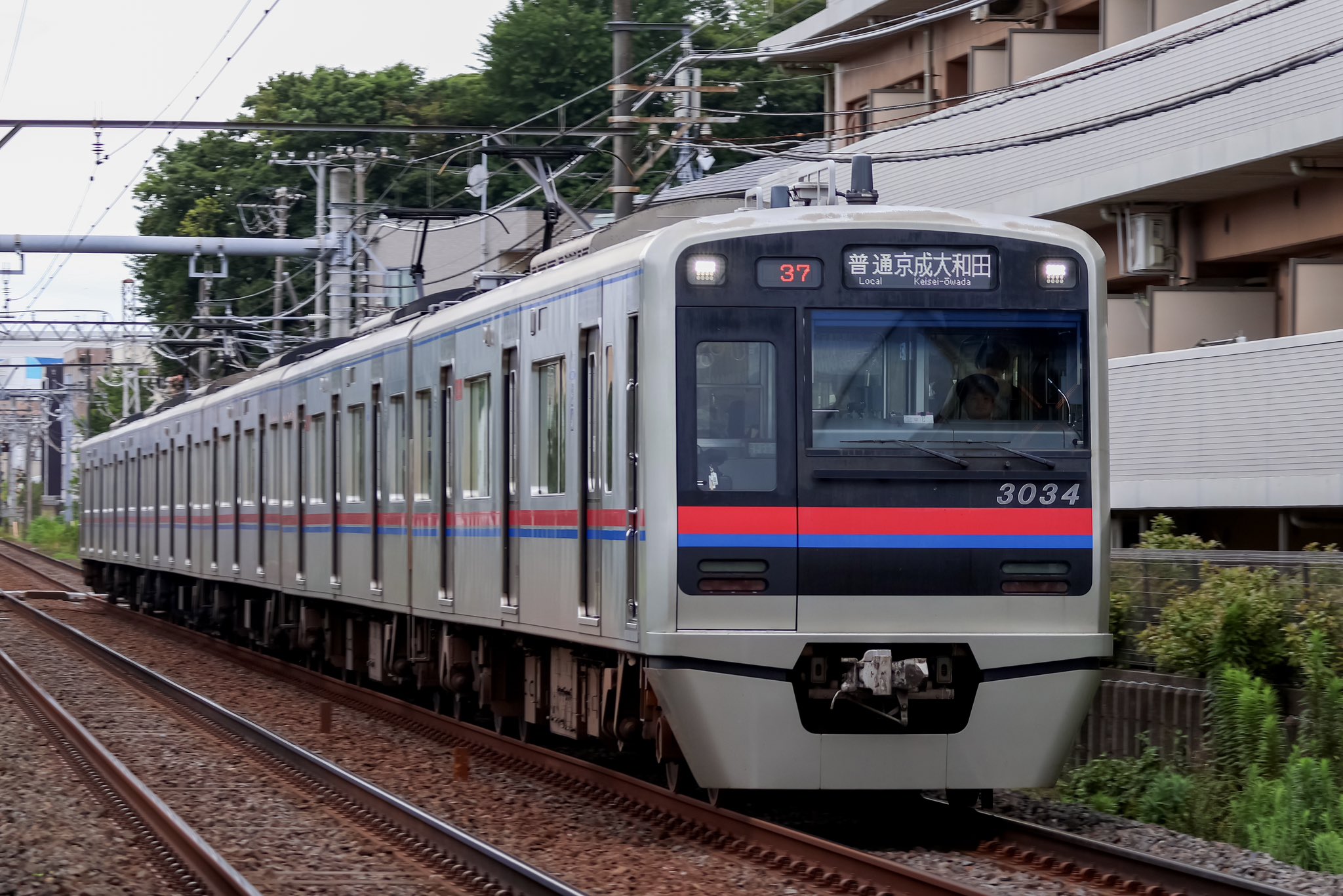 大和田様確認用ページ o1041092115444405908.png