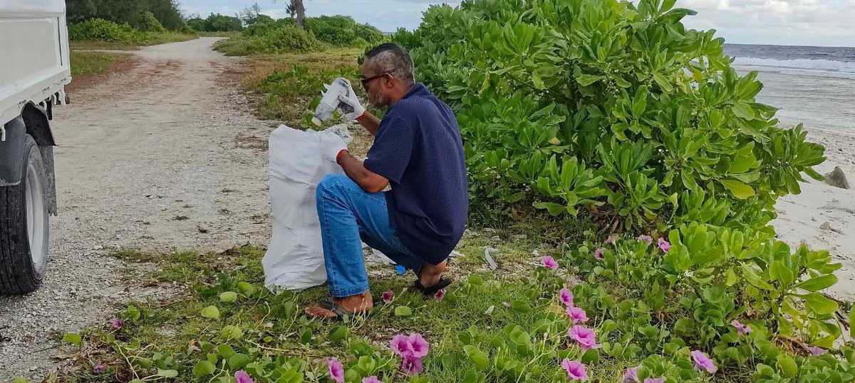 Ministry of Tourism and Environment (@motmv) on Twitter photo As part of the JICA/GCF Project, a community-based beach clean-up event was held in S.Meedhoo. Members from different organizations, NGOs, and the local community came together to participate in this event.
<a href="/AdduCityCouncil/">Addu City Council</a> <a href="/sigsmaldives/">Small Island Geographic Society</a> <a href="/MOPAMaldives/">Maldives Ocean Plastics Alliance</a> As part of the JICA/GCF Project, a community-based beach clean-up event was held in S.Meedhoo. Members from different organizations, NGOs, and the local community came together to participate in this event.
<a href="/AdduCityCouncil/">Addu City Council</a> <a href="/sigsmaldives/">Small Island Geographic Society</a> <a href="/MOPAMaldives/">Maldives Ocean Plastics Alliance</a>