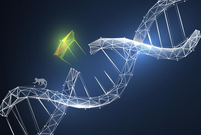 DNACTO_DNA's tweet photo. From biology to blockchain, $DNA bridges the gap between science and Web3 🔗🔬

Join the next wave of decentralized innovation today 🌊💡 https://t.co/Q3dr0sEBIs
