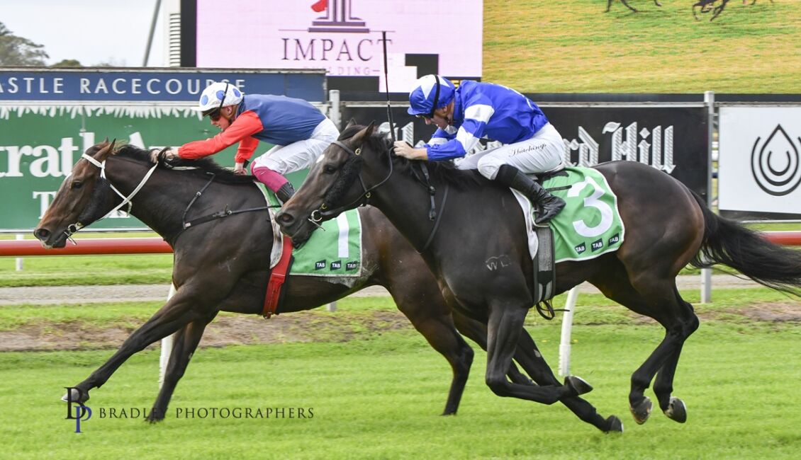 Gary Harley's preview for tomorrow's racing at Newcastle is online now. Check it out here... 
newcastleracecourse.com.au/gary-harley-he…