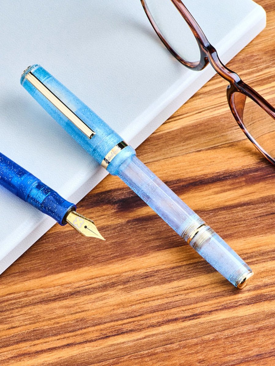 스팁레오 커플 만년필 같은 한 쌍을 발견해서 몹시 탐이 난다