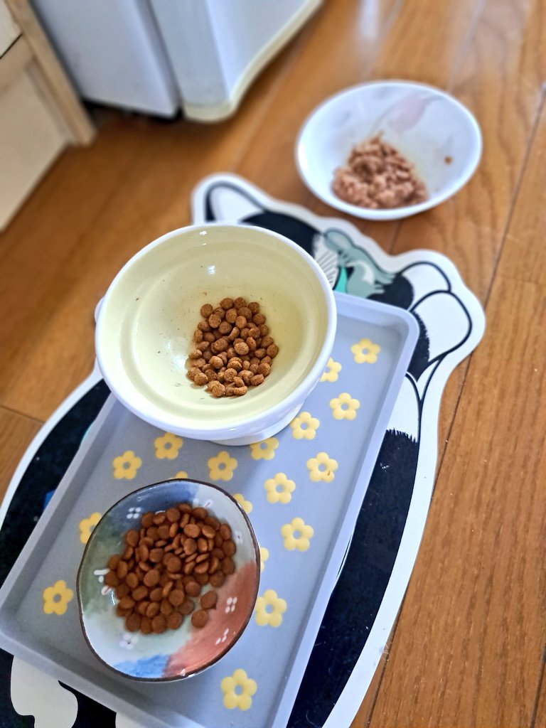 sabi369's tweet image. カリカリ2種類、ウエットフードすら食べなくなってしまった
うーん...困ったな