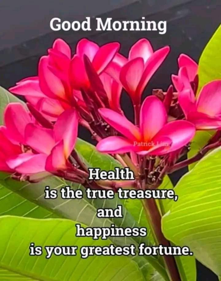 Sukhvir Garcha (@sukhvirgarcha) on Twitter photo <a href="/sunita747/">sunita (סוניטה) 🧡🤍💚</a> <a href="/KunjKishore/">कुंज किशोर गुप्ता</a> <a href="/kssirone/">sirOne.</a> <a href="/GsjpJyoti/">jyoti dubey</a> <a href="/PrabhatGoel2/">Prabhat Goel, मुहब्बत की दुकान का दुश्मन ❤️</a> <a href="/greatairi/">🏁𝕄𝕒𝕟𝕠𝕛 𝕊𝕙𝕒𝕣𝕞𝕒🏁</a> <a href="/HumorMonger31/">Vikas Bahl 🌟</a> <a href="/Gurprit33142485/">Gurprit kaur🌴🙏💟🙏🌴</a> <a href="/uniqueuserdk/">चौधरी 🇮🇳</a> <a href="/ritendra_mathur/">Ritendra Mathur</a> <a href="/RAVI23245204/">RAVI</a> <a href="/sukhwinder1960/">sukhwinder singh</a> <a href="/aapsur/">Brother</a> <a href="/Madhusudan222/">Madhusudan Singh🇮🇳</a> <a href="/RakeshRastogi10/">Rakesh Rastogi</a> <a href="/Somnath08976511/">Somnathsingh</a> <a href="/DC209E/">दिनेश बिशनोई🇮🇳</a> <a href="/amansi24/">Aanchal</a> <a href="/AroraRajdeep/">Rajdeep Arora 🇮🇳</a> <a href="/jandooph/">PARMINDER SINGH</a> <a href="/reehalanugeet/">Anugeet Singh🇮🇳ੴ</a> <a href="/VishalSatra1/">VishaL .</a> <a href="/__kashyap__/">Lata 🇮🇳</a> <a href="/wetwokrishna/">Reeta Panwar</a> <a href="/Dr_M_Dutt/">Dr.Maheshwar.Dutt</a> <a href="/iGreenMonk/">| The Green Monk |</a> <a href="/GarchaSukhvir/">sukhvir garcha</a> *Good morning....!!!!*
Don't judge each day by the harvest you reap but by the seeds you plant.
*Have a safe and healthy Monday.....!!!!* <a href="/sunita747/">sunita (סוניטה) 🧡🤍💚</a> <a href="/KunjKishore/">कुंज किशोर गुप्ता</a> <a href="/kssirone/">sirOne.</a> <a href="/GsjpJyoti/">jyoti dubey</a> <a href="/PrabhatGoel2/">Prabhat Goel, मुहब्बत की दुकान का दुश्मन ❤️</a> <a href="/greatairi/">🏁𝕄𝕒𝕟𝕠𝕛 𝕊𝕙𝕒𝕣𝕞𝕒🏁</a> <a href="/HumorMonger31/">Vikas Bahl 🌟</a> <a href="/Gurprit33142485/">Gurprit kaur🌴🙏💟🙏🌴</a> <a href="/uniqueuserdk/">चौधरी 🇮🇳</a> <a href="/ritendra_mathur/">Ritendra Mathur</a> <a href="/RAVI23245204/">RAVI</a> <a href="/sukhwinder1960/">sukhwinder singh</a> <a href="/aapsur/">Brother</a> <a href="/Madhusudan222/">Madhusudan Singh🇮🇳</a> <a href="/RakeshRastogi10/">Rakesh Rastogi</a> <a href="/Somnath08976511/">Somnathsingh</a> <a href="/DC209E/">दिनेश बिशनोई🇮🇳</a> <a href="/amansi24/">Aanchal</a> <a href="/AroraRajdeep/">Rajdeep Arora 🇮🇳</a> <a href="/jandooph/">PARMINDER SINGH</a> <a href="/reehalanugeet/">Anugeet Singh🇮🇳ੴ</a> <a href="/VishalSatra1/">VishaL .</a> <a href="/__kashyap__/">Lata 🇮🇳</a> <a href="/wetwokrishna/">Reeta Panwar</a> <a href="/Dr_M_Dutt/">Dr.Maheshwar.Dutt</a> <a href="/iGreenMonk/">| The Green Monk |</a> <a href="/GarchaSukhvir/">sukhvir garcha</a> *Good morning....!!!!*
Don't judge each day by the harvest you reap but by the seeds you plant.
*Have a safe and healthy Monday.....!!!!*