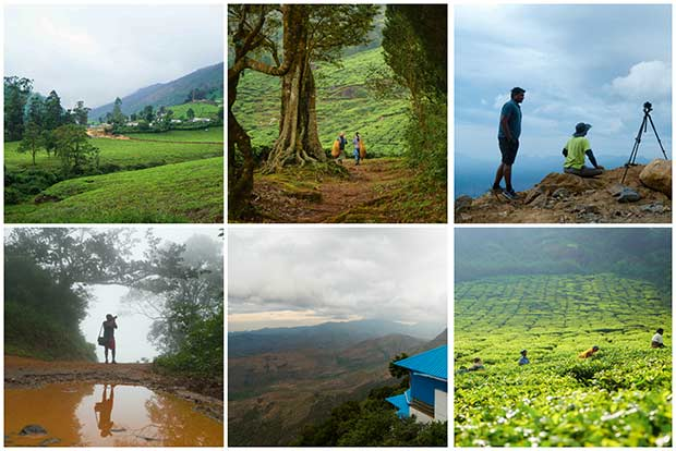 JavaarchitectG's tweet image. Hidden Heaven in Tamilnadu-Theni. When we get Megamalai Tourism in Theni?It is started by Kalaigar.
@SalemRRajendran #DMK4TN @mkstalin
@Udhaystalin @CumNRamaksinan @EPSTamilNadu
@ThangaTamilselv @Seeman4TN @dinamalarweb
@DinamaniDaily @DinakaranNews #Wimbledon #Chelsea #Suriya50