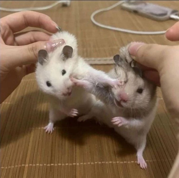 greenascorp's tweet image. 