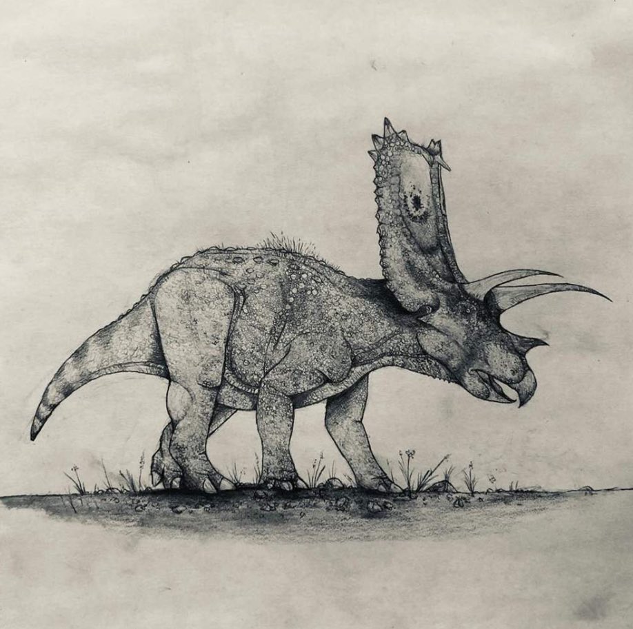 Ian Baylatry tweet media