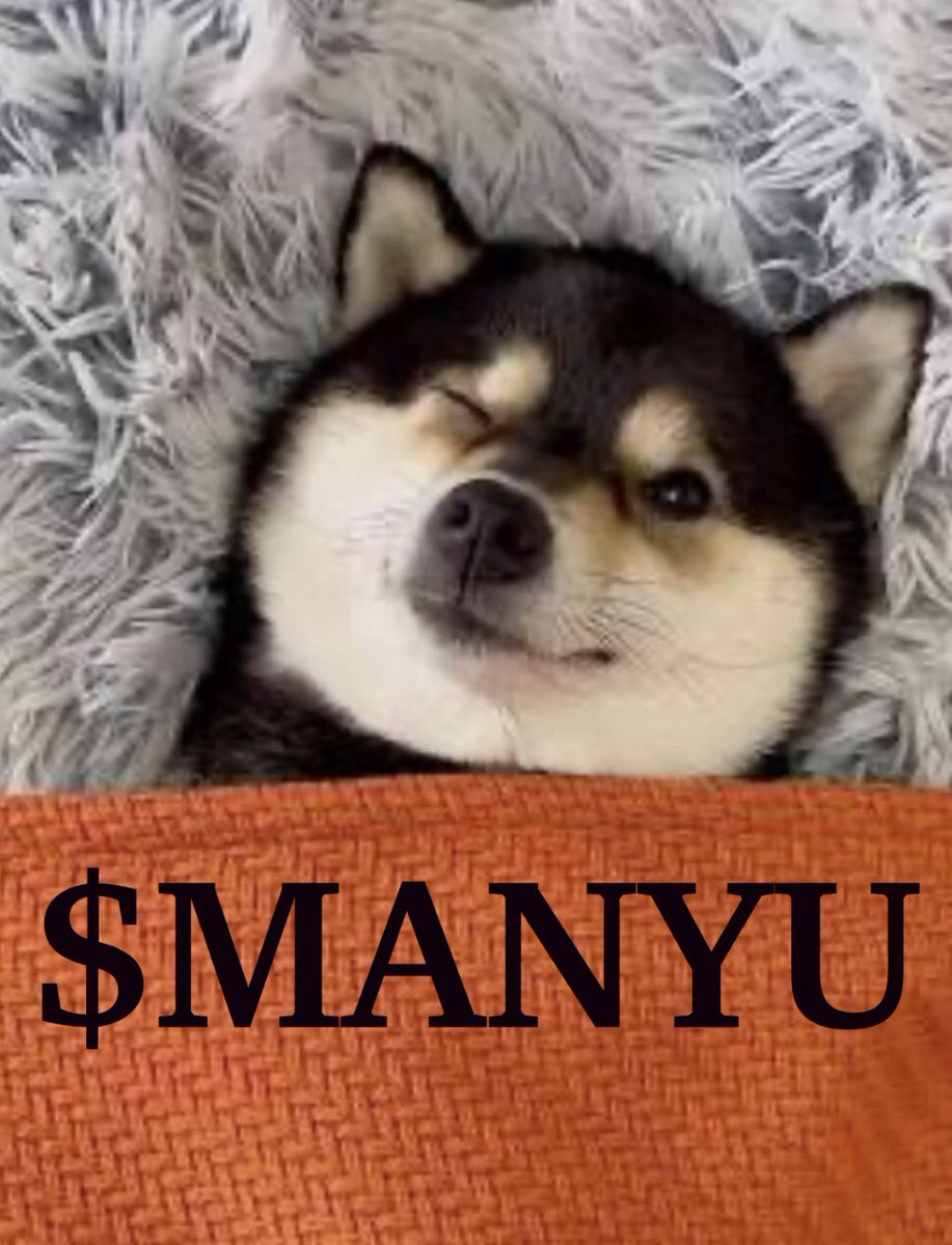 $MANYU is bullshit who trusts this coin trust me bro u will lose all of your money soon 👌🤡
