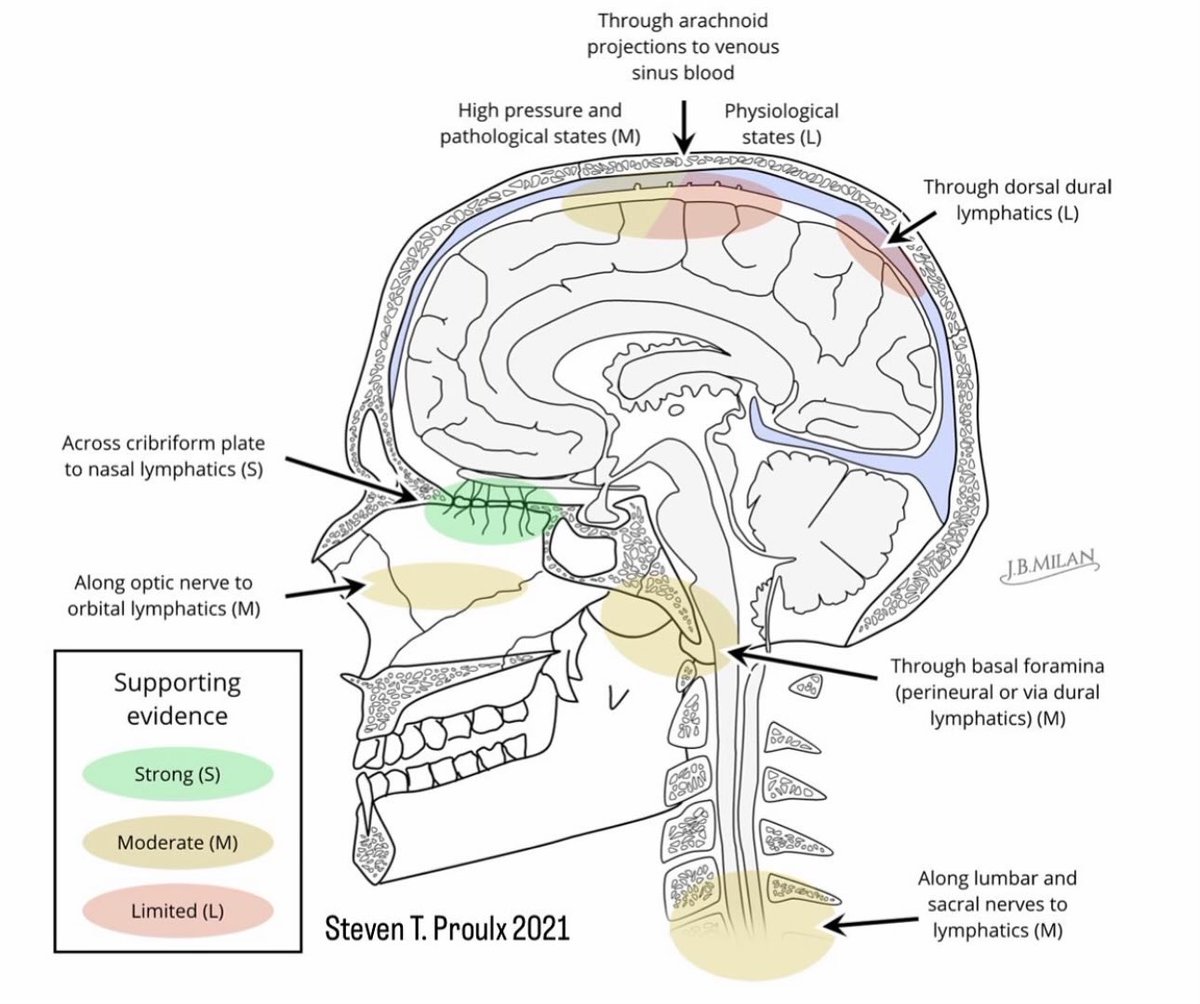 Oren Gottfried, MD tweet media