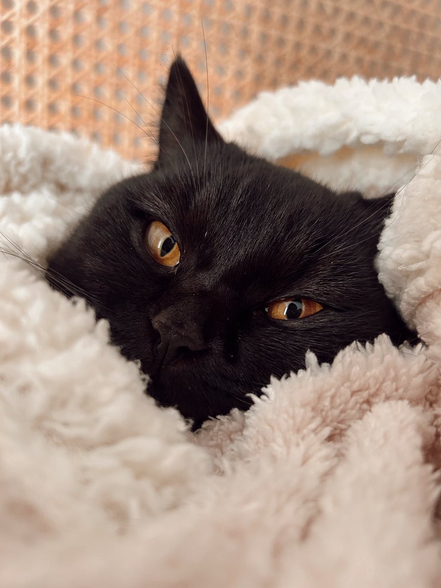 <a href="/estefierritox/">Estefierrito</a> Dos para que se bañen y duerman junticos. 🤍