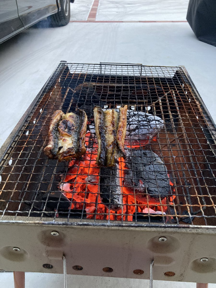 musclebik's tweet photo. 近所の川で天然ウナギが腐るほど獲れるから養殖してる。
週2くらいのペースで天然ウナギの蒲焼食べてる。めっちゃ美味い。 https://t.co/Pu65g5F0nb