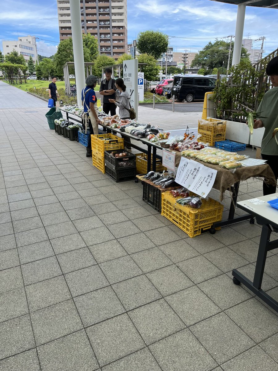 青梅市役所マルシェに本日参加しております。
青梅市の農家の新鮮野菜が多数そろっています。
是非お立ち寄り下さい。