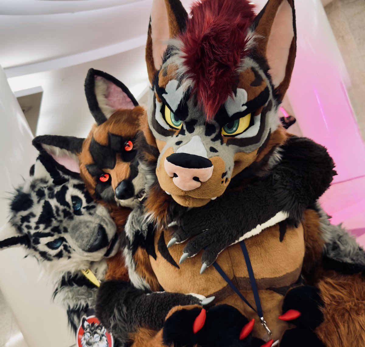 run_charizard's tweet image. 連結！
#FurstClass