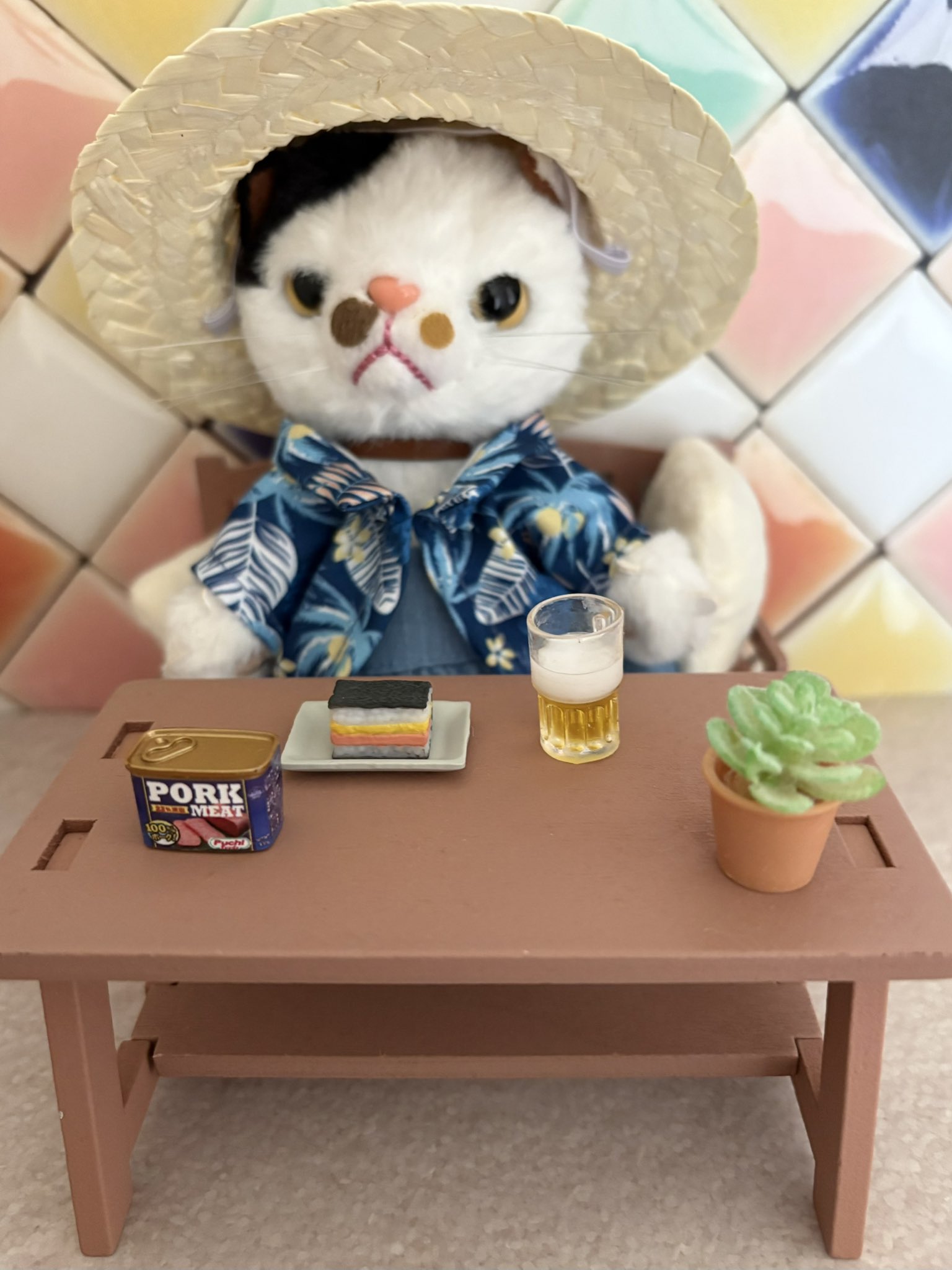 スクラッチキャット - Search / X