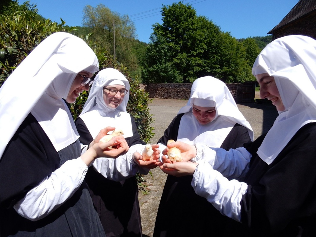 NunsHolding's tweet image. Sister Adorers of the Royal Heart of Jesus Christ Sovereign Priest @ICKSP at Kloster Maria Engelport in Treis-Karden Germany holding young chicks. Photo from the Institute's website at adoratrices.icrss.org/en/component/e….
