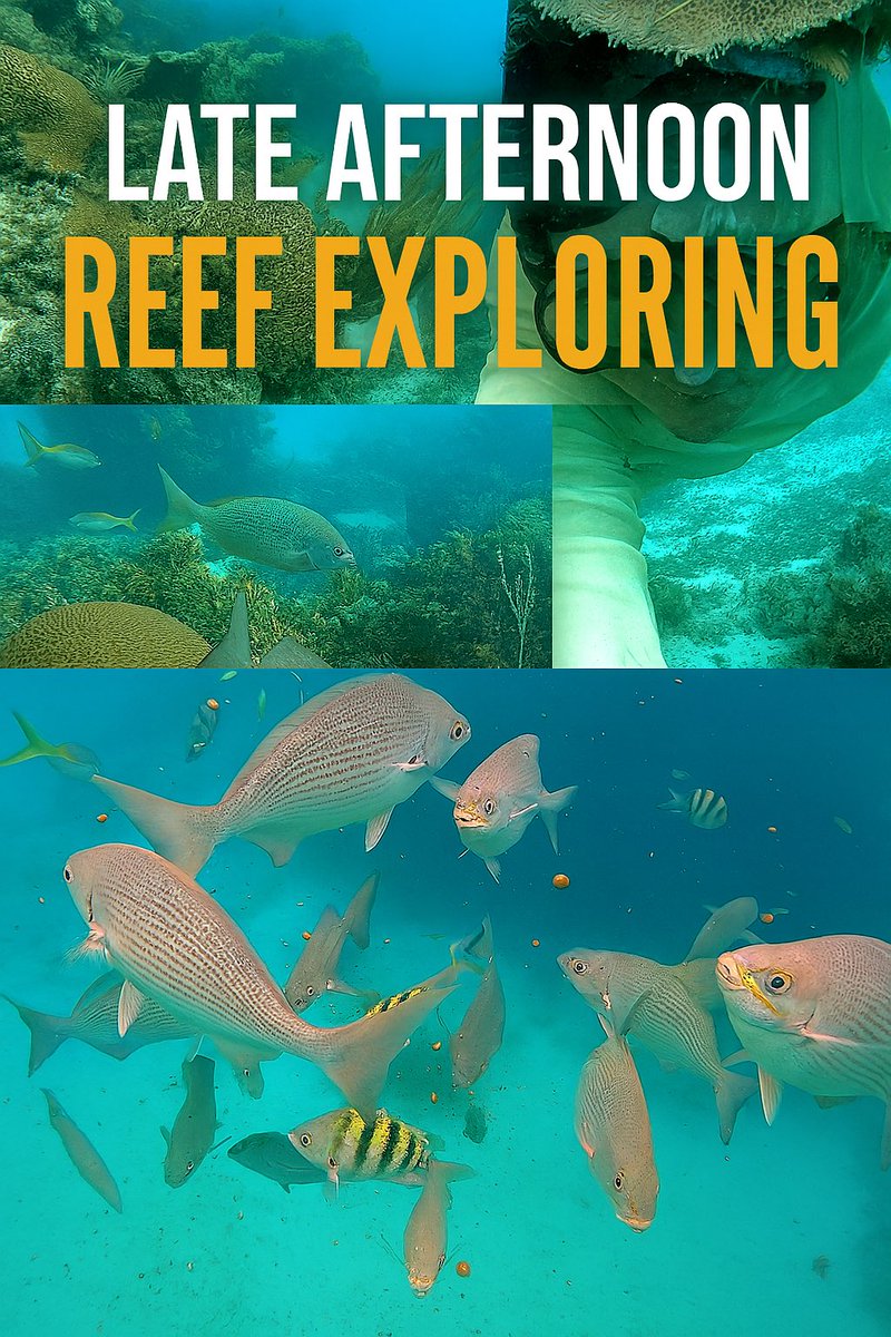Miller Keys Miller Marine Florida Keys (@MillerMarineFla) / Posts / X
