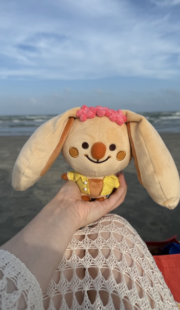 wookka got a tan at the beach