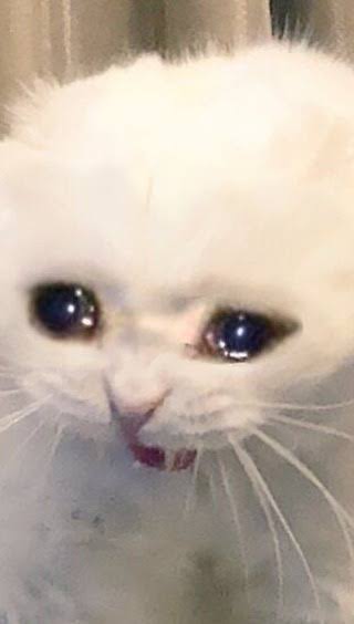 o_joaodantas's tweet image. Prova do estado da PB em duas imagens #SEEPB #Idecan #Concursos