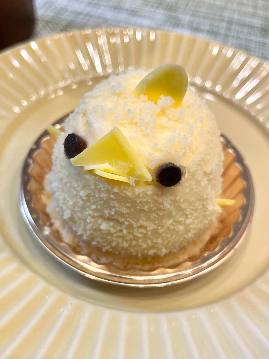 おはようございます！
先日、初めて愛知に遊びに行き
ぴよりんに一目惚れしてしまいました🐥💕
とても崩れやすいということでしたが
無事にお持ち帰り出来ました！
甘さが控えめで固めのプリンがおいしかったです😋
#企業公式つぶやき部 
#ぴよりん #ぴよりんチャレンジ