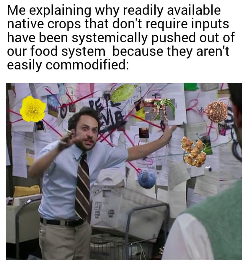 CarolAnn Barrows 😷 🍍 🙏 (@frogess33) on Twitter photo 