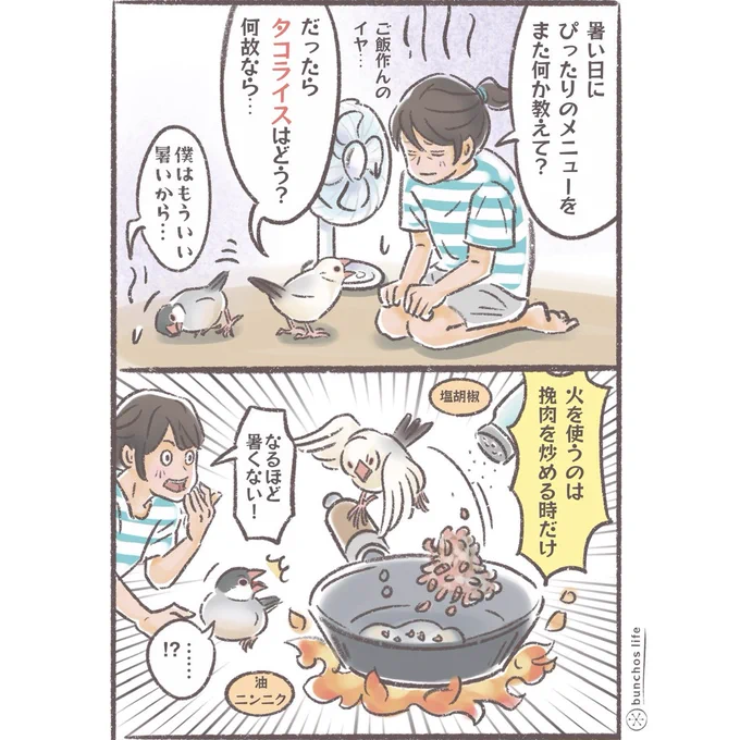 ご要望がありましたので文鳥ゆるゆるクッキング第2段✨
タコライス美味しいですよね、我が家はレタスだけでなくキャベツを細千切りして多めに入れるのが好きです
#文鳥 
#4コマ漫画 