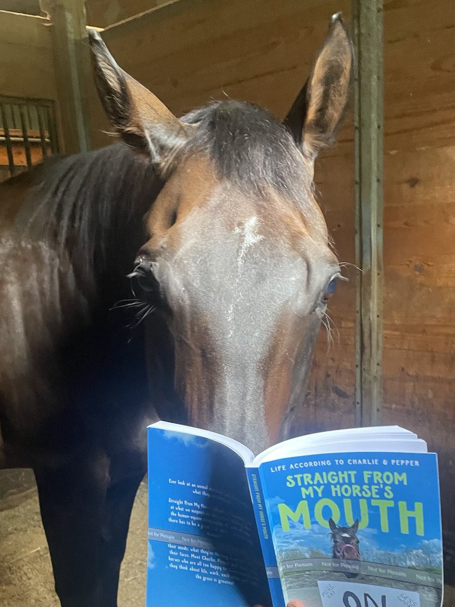 horseimage's tweet photo. horse reading learning studying so intelligent bookworm https://t.co/LjNESiVACv