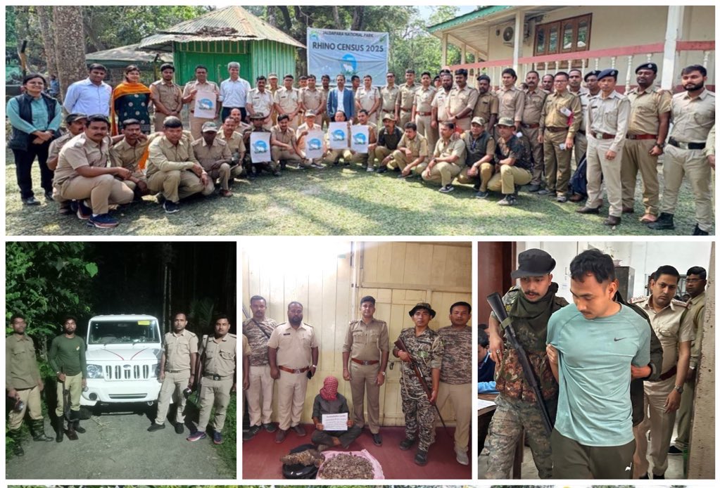 Parveen Kaswan, IFS (@parveenkaswan) on Twitter photo Read how our wildlife division has erased the heavy bootprints of notorious international Rhino poaching gangs from its trails. With great coordination team achieved something special; multiple arrests and then convictions. Feedbacks r welcome. <a href="/ArkamoyM/">Arkamoy Datta Majumdar</a>
indiatoday.in/india-today-in… Read how our wildlife division has erased the heavy bootprints of notorious international Rhino poaching gangs from its trails. With great coordination team achieved something special; multiple arrests and then convictions. Feedbacks r welcome. <a href="/ArkamoyM/">Arkamoy Datta Majumdar</a>
indiatoday.in/india-today-in…
